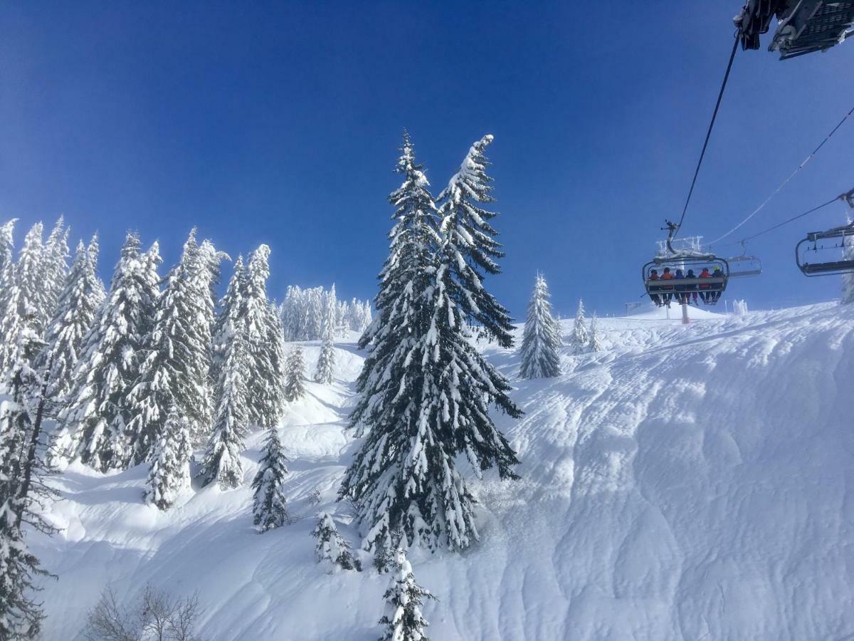 Chalet Marmotte 2 Морзин Экстерьер фото