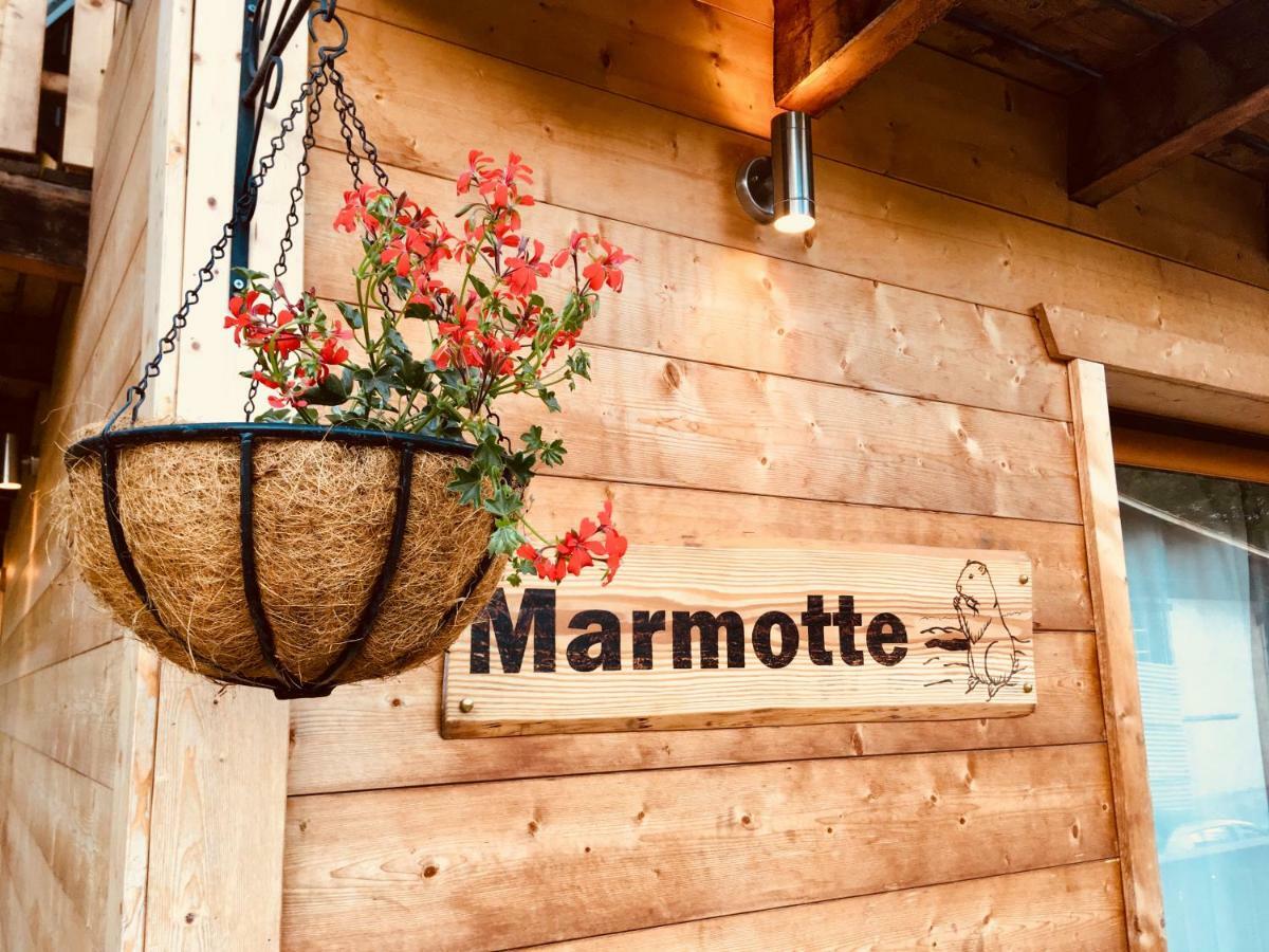 Chalet Marmotte 2 Морзин Экстерьер фото